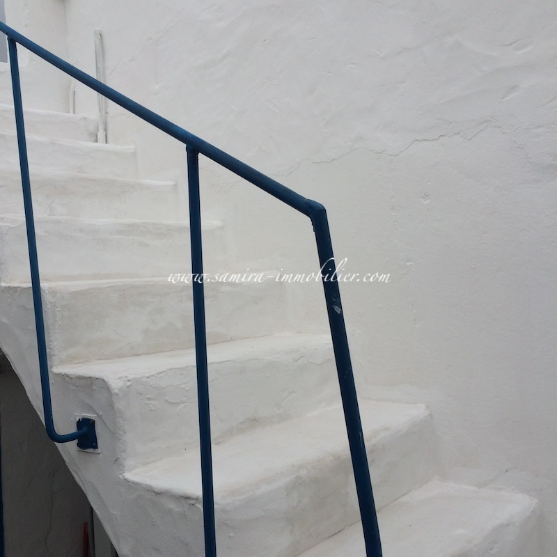 8d5d3820-5076-4c3d-b9dd-aba93f9da36e.JPG