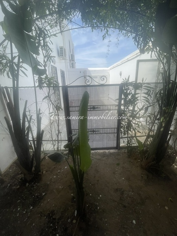 IMG_9762.jpeg